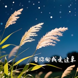 当你向我走过来