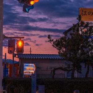 谁都看得出我在等你