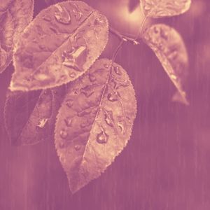 诗意的重点节奏