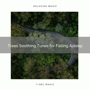 Trees Soothing Tunes for Falling Asleep