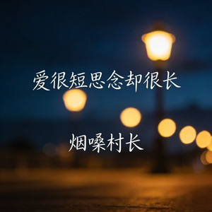 爱很短思念却很长