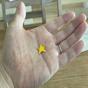 STARDUST