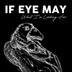 What I'm Looking For