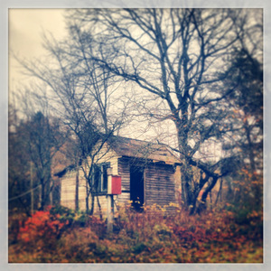 November