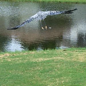 be part of the world