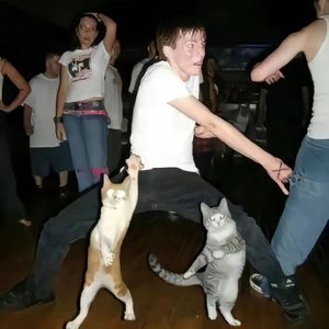 【绝代】中国风drilltype