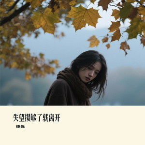 失望攒够了就离开