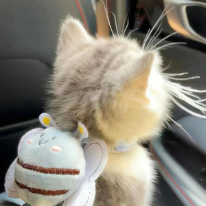 爱如潮水（说唱版）