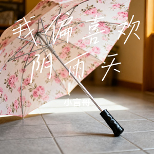 我偏喜欢阴雨天