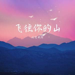 飞往你的山