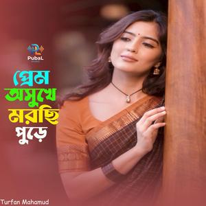 Prem Osukhe Morci Pure | প্রেম অসুখে মরছি পুড়ে