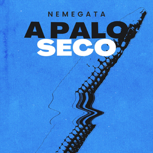Fondo (A Palo Seco)