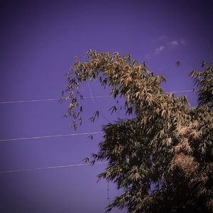 爱到底（prod by wlao_t)