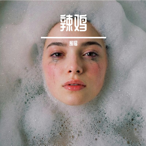 辣鸡