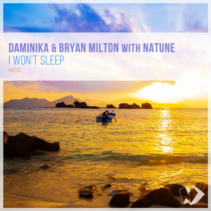 I Won't Sleep (Original Mix)