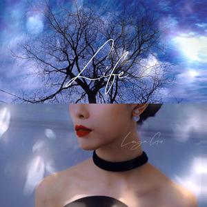 星(Stars)(歌词版)