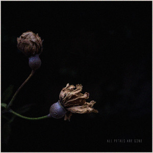 All Petals Are Gone