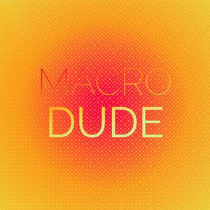 Truthfully Misunderstand