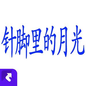 针脚里的月光 (现场)