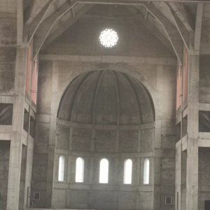 忍冬拥抱荆棘完_20221123_000857