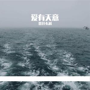 假如爱有天意