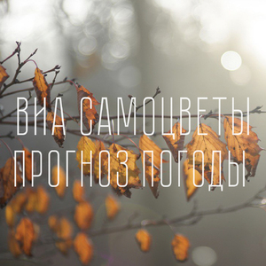 Всё что было без тебя