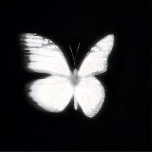 阴霾 （prod.by Morrow x FAS）