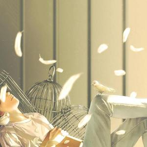 白鸽（温柔男声版）（翻自 你的上好佳）