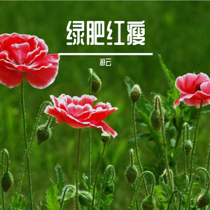 梦中的兰花花