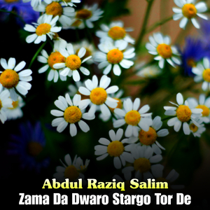Zra De Ka Spesale