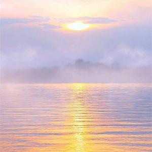 我趟过一条名叫你的河