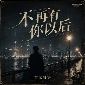 不再有你以后