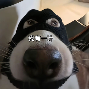 量子纠缠的永恒.wav