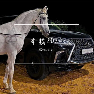 车载2024