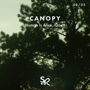 Canopy