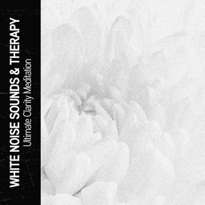 White Noise Laboratory