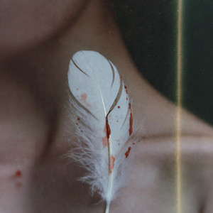 Раненая птица