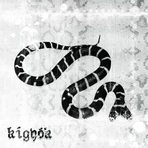 MINDENKI PÉCSI AKAR LENNI! (feat. KassaDeParis, Tej és Cigi, Ákso & Sallai)