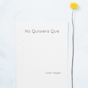 No Quisiera Que