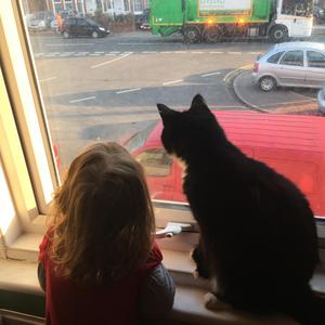 Halt (feat. Matthew Healey, Andy Tourle & Mike Tourle)