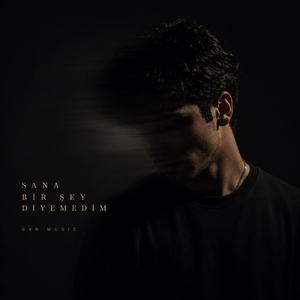 Diyemedim