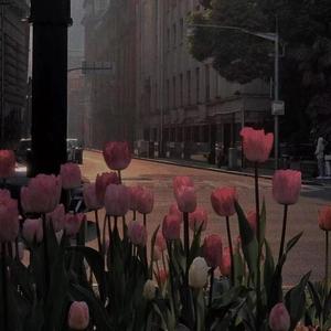 同花顺
