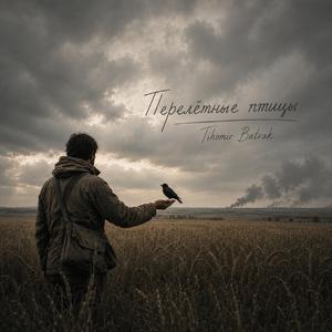 Перелётные птицы