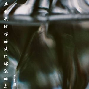 其实我给你的爱比你想的多