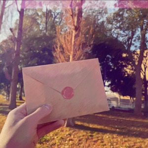 チャルディーニ・ラブレター