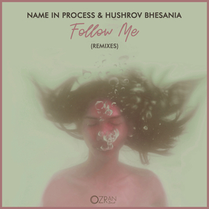 Follow Me (Muzo Remix)