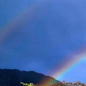 nobody even loved her anyway