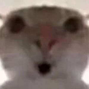 Fairy's Cry(光死去的夏天)