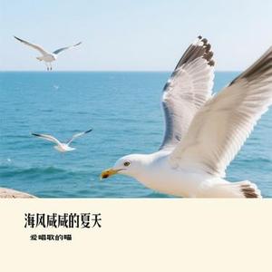 海风咸咸的夏天