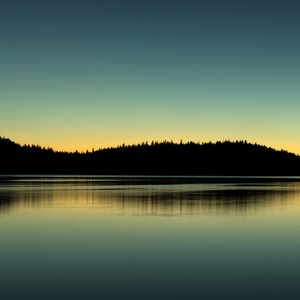 人生路太辛苦每走一步都在赌